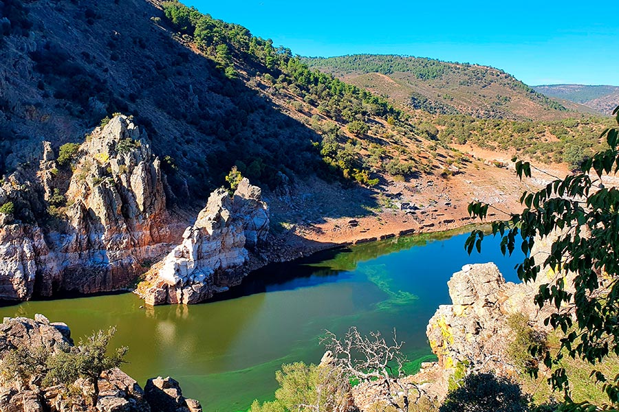 Aventura monfrague aprender ingles excursion4